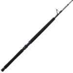 Ally™ II Conventional West Coast Rod - Image 18