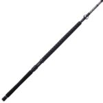 Ally™ II Conventional West Coast Rod - Image 30
