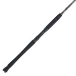 Carnage® III Inshore Spinning Rod - Image 19