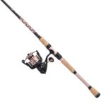 Passion® II Spinning Combo - Image 48