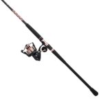 Passion® II Spinning Combo - Image 51