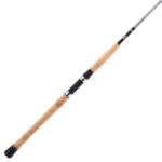Prevail® III Inshore Casting Rod - Image 6