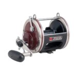 Special Senator® Star Drag Conventional Reel - Image 5