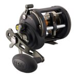 Squall® II Level Wind Conventional Reel - Image 2