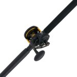 Squall® II Lever Drag Conventional Combo - Image 2