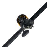 Squall® II Lever Drag Conventional Combo - Image 4