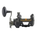 Squall® II Star Drag Conventional Reel - Image 18