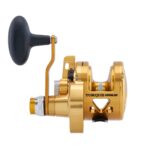 Torque® Lever Drag 2-Speed Conventional Reel - Image 37