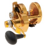 Torque® Lever Drag 2-Speed Conventional Reel
