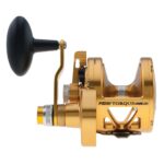 Torque® Lever Drag 2-Speed Conventional Reel - Image 36