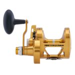 Torque® Lever Drag 2-Speed Conventional Reel - Image 39