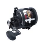 Warfare® Star Drag Level Wind Conventional Reel - Image 6