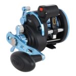 Warfare® II Level Wind Conventional Reel - Image 4