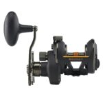 Squall® II Star Drag Conventional Reel - Image 13